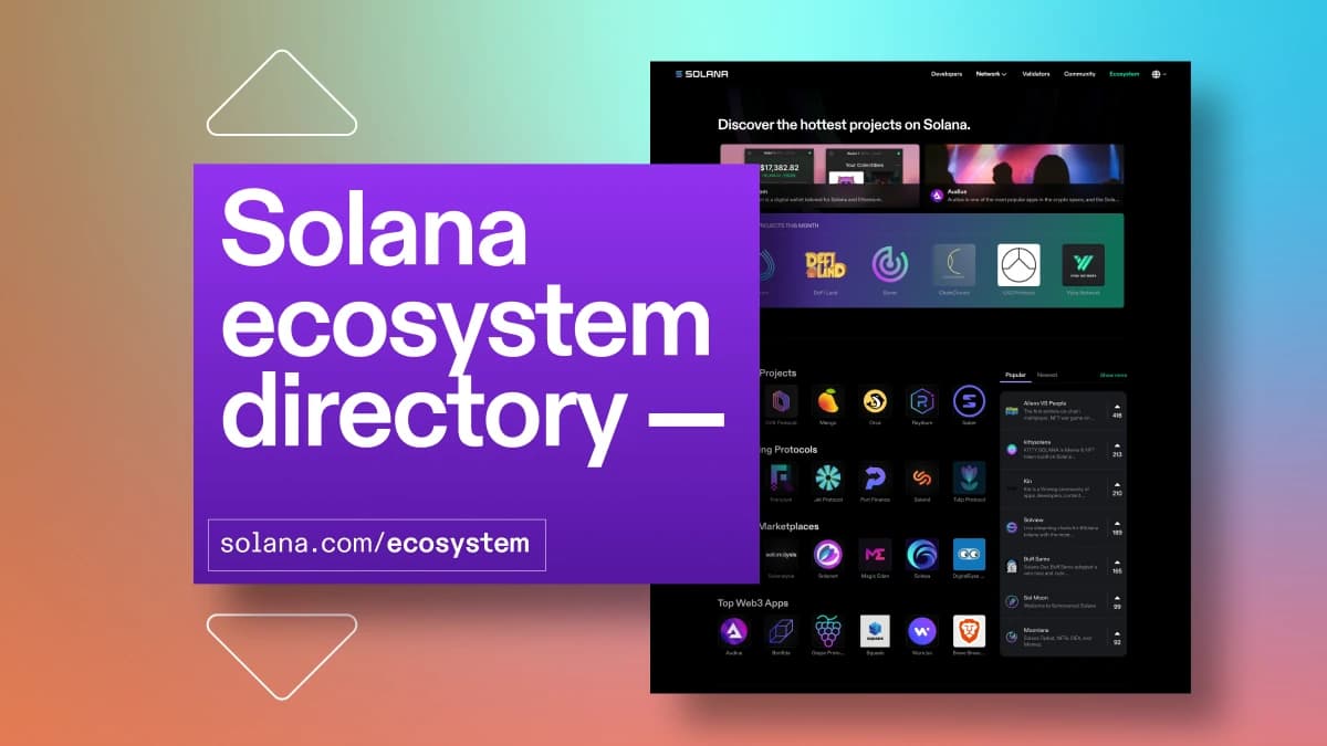 Best Solana DeFi Protocols to Watch in 2026