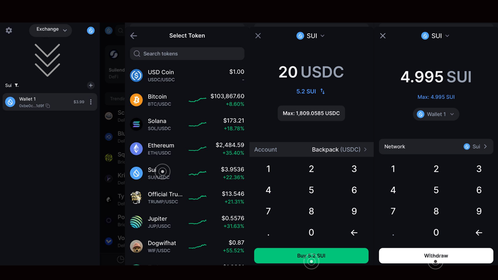 Backpack Wallet DeFi position viewing interface