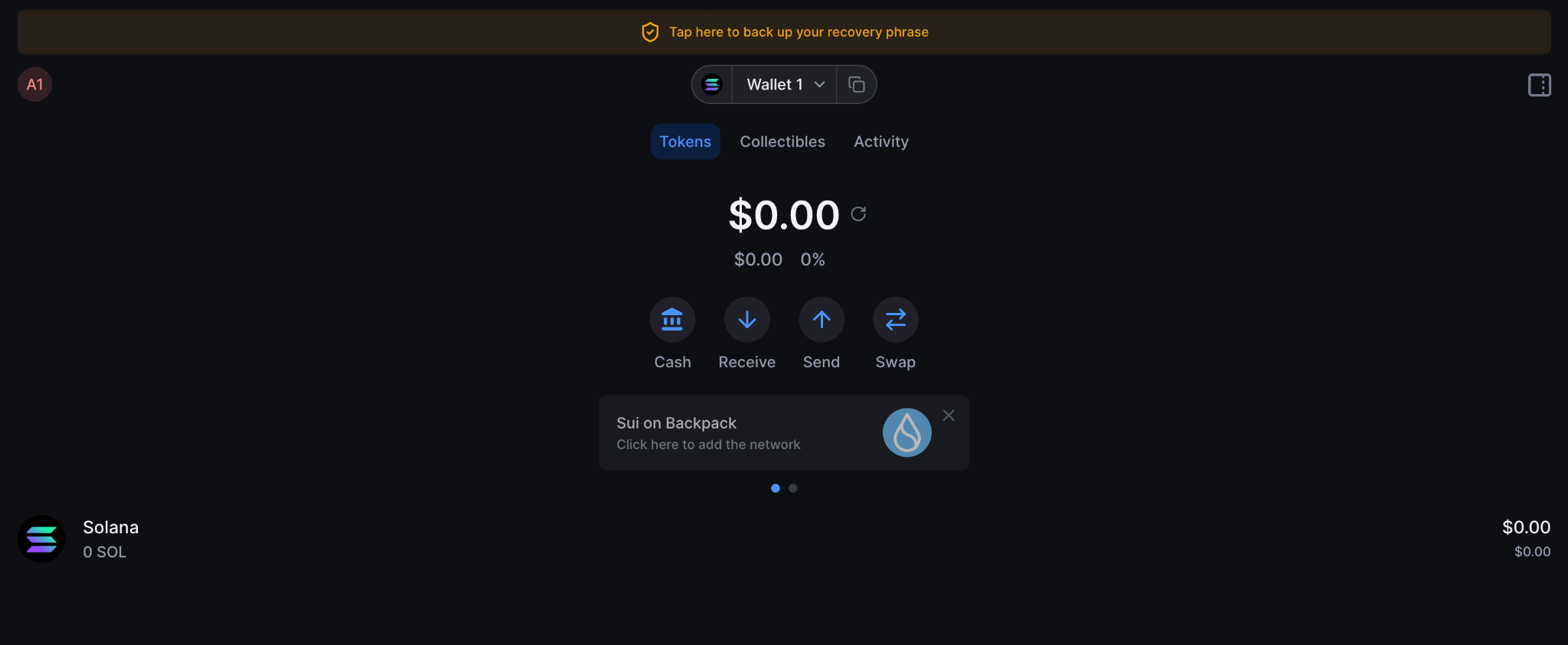 Backpack Wallet security settings screenshot