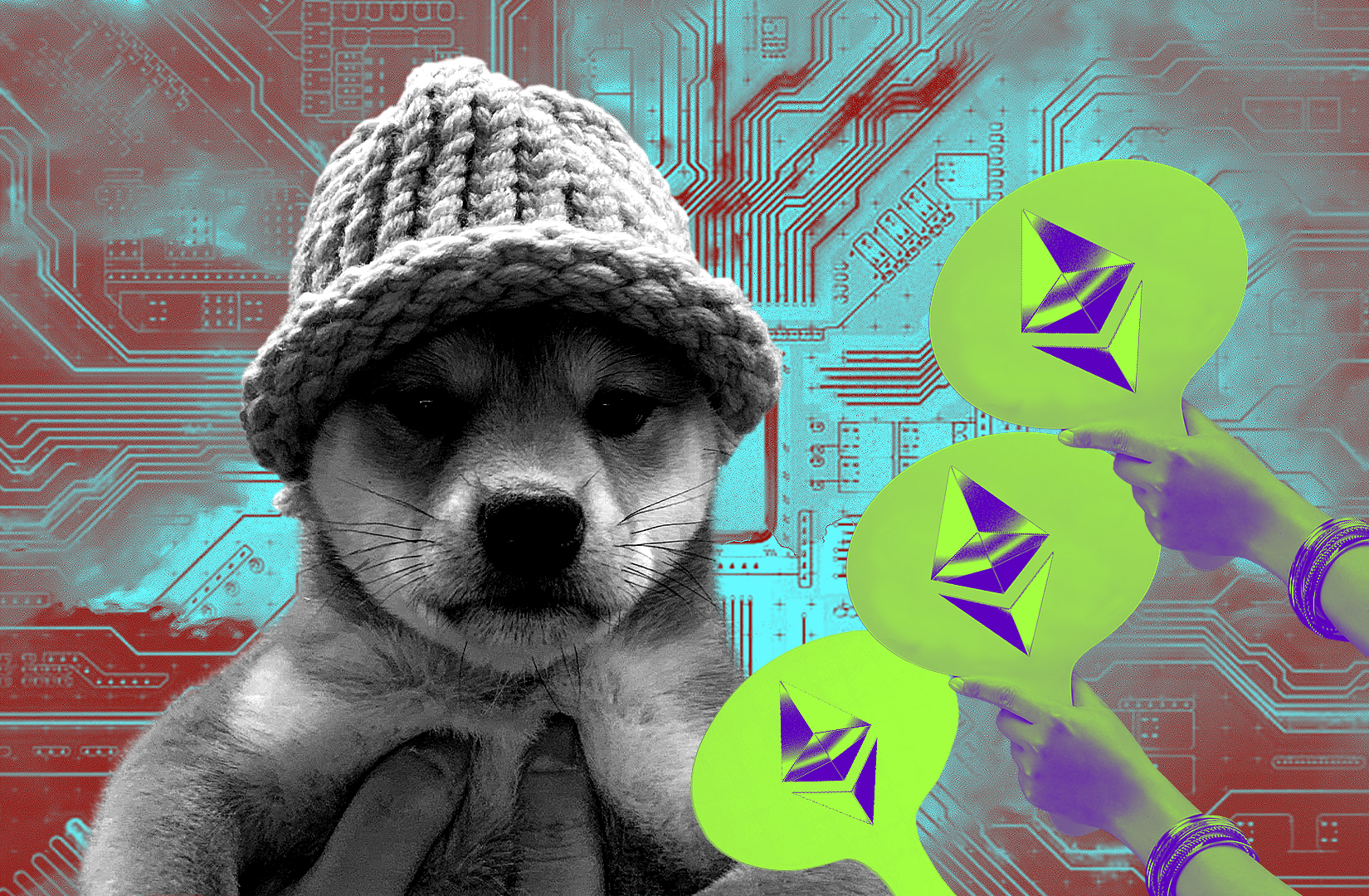 dogwifhat Solana meme coin