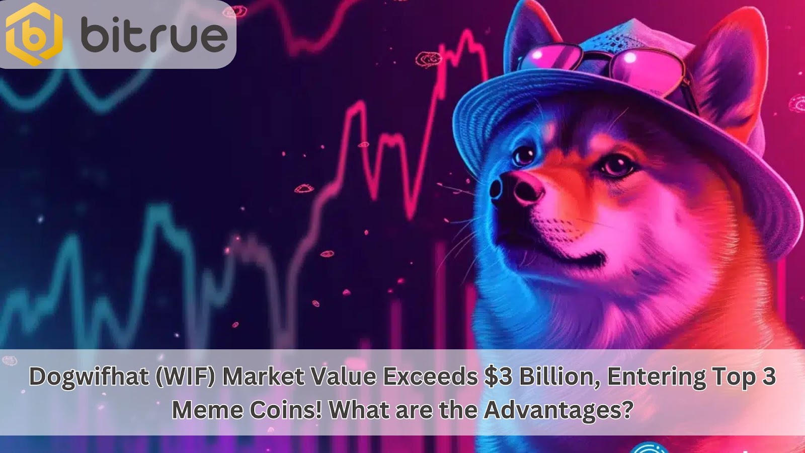 Dogwifhat WIF Solana meme coin pink hat